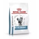 Royal Canin Feline Vet Anallergenic Comida para gatos