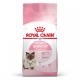 Royal Canin Feline Kitten-Mother & Babycat Comida para Gatos