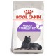 Royal Canin Feline Sterilised 7+ Comida para Gatos