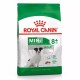 Royal Canin Canine Adult-Mini 8+ 8 Kg Pienso para perros