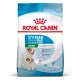 Royal Canin Puppy-Mini Starter 8.5 Kg Pienso para Perros