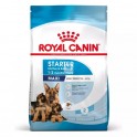 Royal Canin Maxi Starter 15 Kg Cachorros y Madres Pienso para Perros