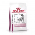 Royal Canin Canine Vet Cardiac Pienso para Perros