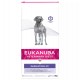 EUKANUBA DERMATOSIS FP Pienso para Perros