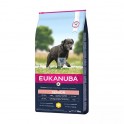 EUKANUBA CANINE-GRANDES SENIOR POLLO 15 Kg Pienso para Perros