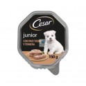 CESAR PUPPY PAVO-TERNERA 14 TARRINAS 150 g Pienso para Perros