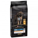 PRO PLAN CANINE LARGE ROBUST 14 Kg POLLO Pienso para Perros