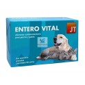 ENTERO VITAL 60 Stick Salud Intestinal de perros y gatos