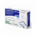 VETBROMIDE 600 mg 60 Comprimidos Antiepiléptico para perros