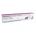 EQUIBACTIN PASTA ORAL 45 gr Infecciones Respiratorias en Caballos
