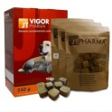 VIGOR PHARMA SNACKS 60x4 g Suplemento Nutricional para Perros y Gatos