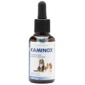 KAMINOX 120 ml Insuficiencia Renal en Gatos