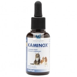 KAMINOX 120 ml Insuficiencia Renal en Gatos