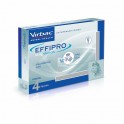 EFFIPRO GATO 50 mg Pipetas Antiparasitarias para Gatos
