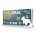 HYALORAL Razas Pequeñas y Medianas Condroprotector Comprimidos para Perros