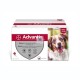 Advantix 10-25 Kg Pipetas para Perros Antiparasitario Externo