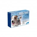 CAPSTAR 1-11 Kg - 6 Pastillas desparasitar Perros y Gatos