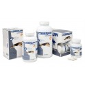 COSEQUIN ADVANCED PERRO HA+MSM Condroprotector Comprimidos para Perros
