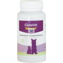 GLUTAVET 60 Comprimidos Protector Intestinal en Perros