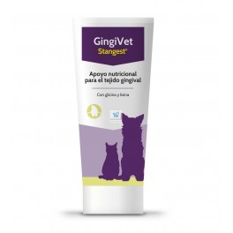 GINGIVET PASTA 100 g