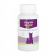 GINGIVET 60 Comprimidos Higiene bucal para perros y gatos
