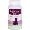 GASTROPROTECT BLISTER 96 Comprimidos Protectos Gastrico en perros