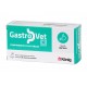 GASTROVET 30 Comprimidos Protectos Gástrico de Perros y Gatos