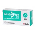 GASTROVET 30 Comprimidos Protectos Gástrico de Perros y Gatos