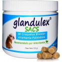 GLANDULEX SACS CROQUETAS Problemas en Glandulas Anales en perros