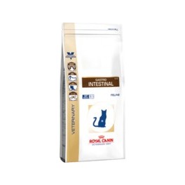 Royal Canin Feline Gastrointestinal 2 Kg Comida para Gatos