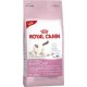 Royal Canin Feline Kitten-Mother & Babycat 2 Kg Comida para Gatos