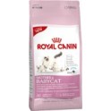 Royal Canin Feline Kitten-Mother & Babycat 2 Kg Comida para Gatos