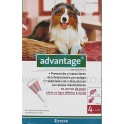 Advantage 250 4 Pipetas para Perros 10 a 25 Kg