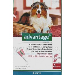 Advantage 250 4 Pipetas para Perros 10 a 25 Kg