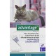 Advantage Gatos 80 4 Pipetas desparasitar gatos