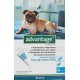 Advantage 100 4 Pipetas para Perros 4 a 10 Kg.