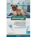 Advantage 100 4 Pipetas para Perros 4 a 10 Kg.