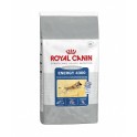 Royal Canin Energy 4300 15 kg Pienso para Perros