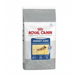 Royal Canin Energy 4300 15 kg Pienso para Perros