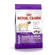 Royal Canin Puppy-Giant Junior Active 15 kg pienso para perros