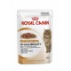 Royal Canin Intense Beauty 12x85 g Comida para Gatos
