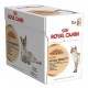 Royal Canin Intense Beauty 12x85 g Comida para Gatos