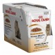 Royal Canin Intense Beauty Jelly 12x85 gr Comida para Gatos