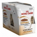 Royal Canin Intense Beauty Jelly 12x85 gr Comida para Gatos