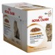Royal Canin Intense Beauty Jelly 12x85 gr Comida para Gatos