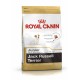 Royal Canin Puppy Jack Russell Terrier Jr 3 Kg pienso para perros