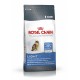 Royal Canin Light 40 10 kg comida para gatos