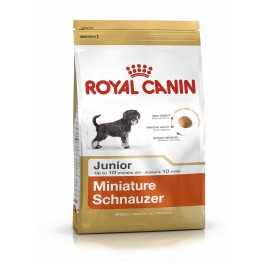 Royal Canin Puppy Miniature Schnauzer Junior 1.5 Kg pienso para perros
