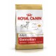 Royal Canin Dalmatian Adult 12 kg pienso para perros