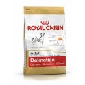 Royal Canin Dalmatian Adult 12 kg pienso para perros